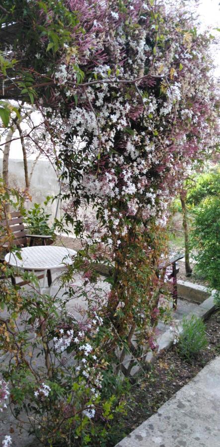 Apartment Emma Mali Lošinj Екстериор снимка